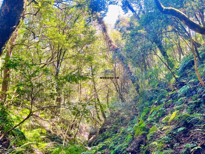 /tmp/phpbCtg0x /tmp/phpbCtg0x