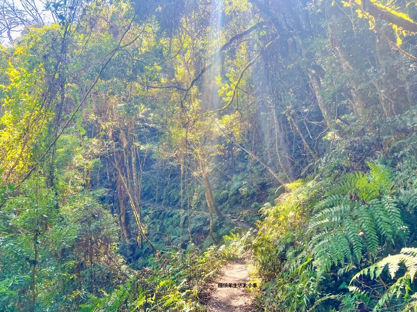 /tmp/phpUgmx0L /tmp/phpUgmx0L