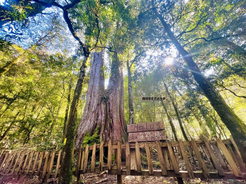 /tmp/phprBMmXP /tmp/phprBMmXP