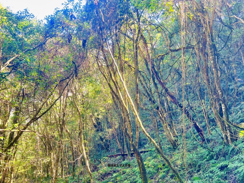 /tmp/phpvWFlES /tmp/phpvWFlES