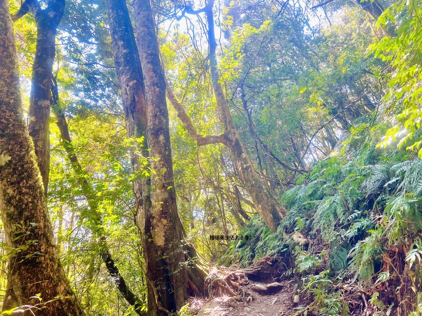 /tmp/phpCzXsOv /tmp/phpCzXsOv