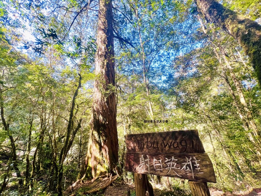 /tmp/php2djuJD /tmp/php2djuJD