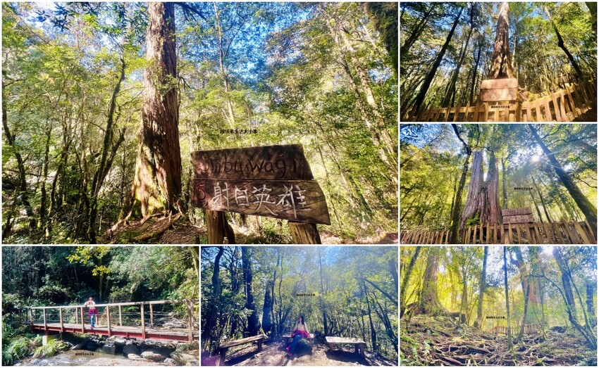 /tmp/phpVDpQuu /tmp/phpVDpQuu