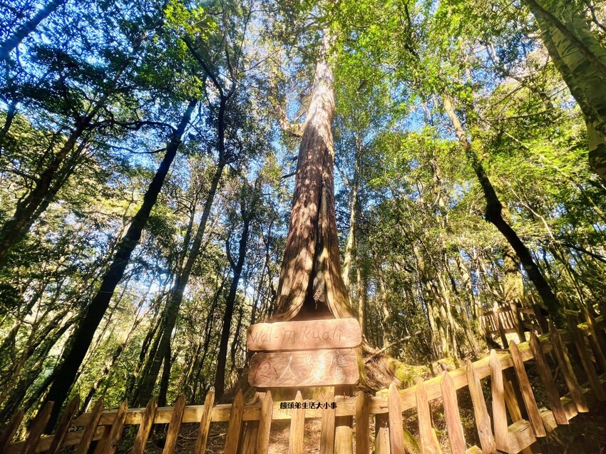 /tmp/phpYuCE42 /tmp/phpYuCE42