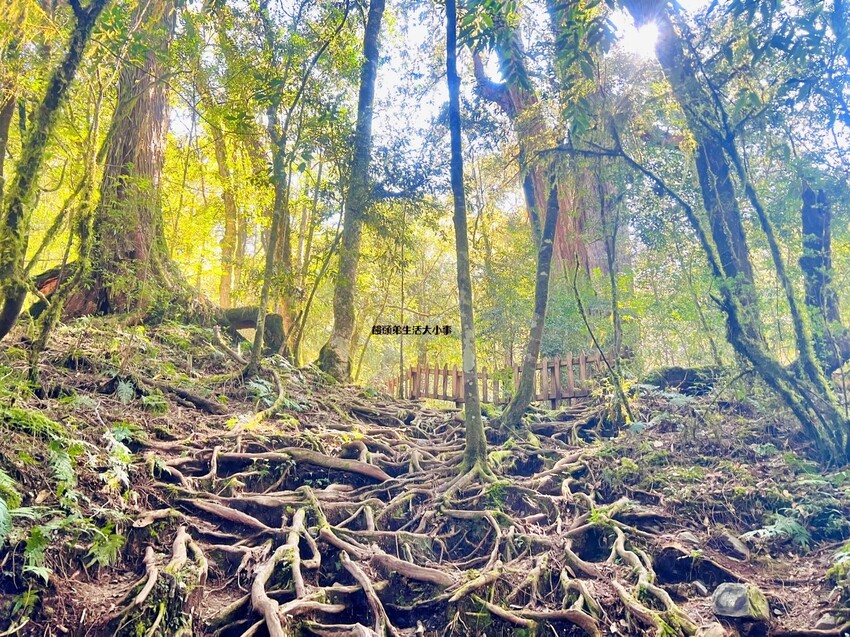 /tmp/phpRTI26g /tmp/phpRTI26g