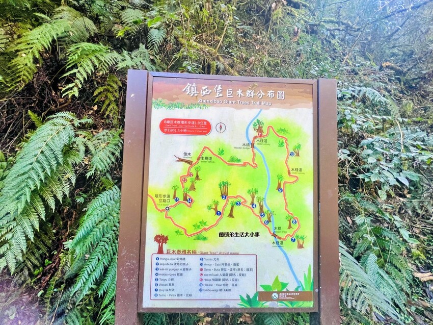 /tmp/phphIn5uu /tmp/phphIn5uu