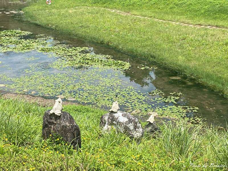 金瑞治水園區~認識田嬰好所在 除了平面認識外還可親眼欣賞哦 @Bernice的隨手筆記