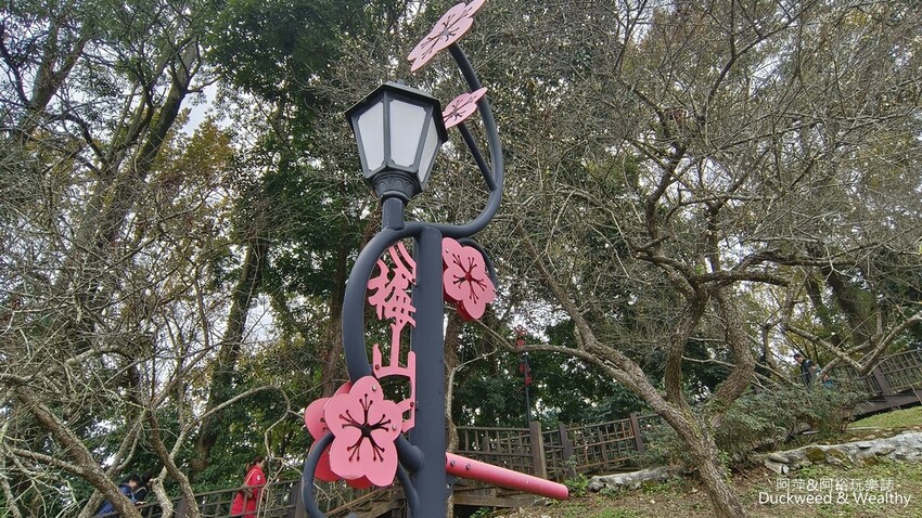 嘉義景點推薦！梅山公園不只賞梅花，鳳凰花、九重葛全年綻放最美嘉義景點。
