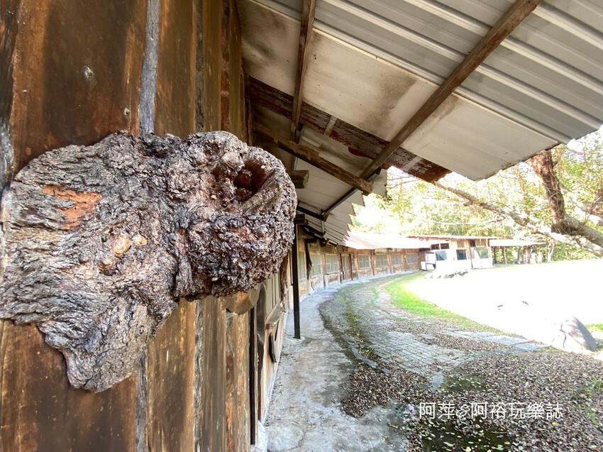 台南景點秘境！入住神隱少女湯屋 微風山谷藝術村，體驗森林系台南民宿。
