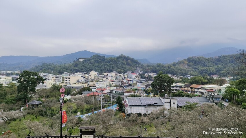 嘉義景點推薦！梅山公園不只賞梅花，鳳凰花、九重葛全年綻放最美嘉義景點。