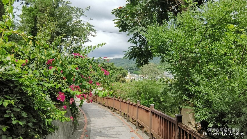 嘉義景點推薦！梅山公園不只賞梅花，鳳凰花、九重葛全年綻放最美嘉義景點。