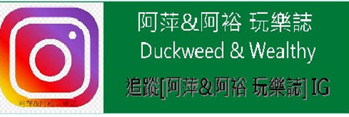 台南景點秘境！入住神隱少女湯屋 微風山谷藝術村，體驗森林系台南民宿。