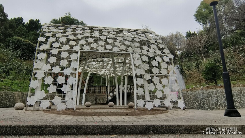 嘉義景點推薦！梅山公園不只賞梅花，鳳凰花、九重葛全年綻放最美嘉義景點。