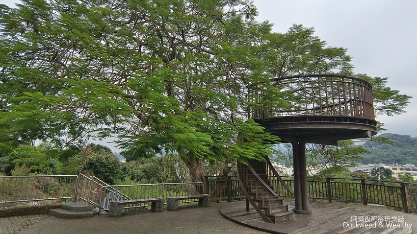 嘉義景點推薦！梅山公園不只賞梅花，鳳凰花、九重葛全年綻放最美嘉義景點。