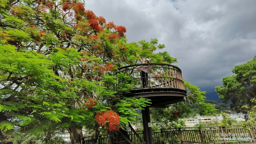 嘉義景點推薦！梅山公園不只賞梅花，鳳凰花、九重葛全年綻放最美嘉義景點。