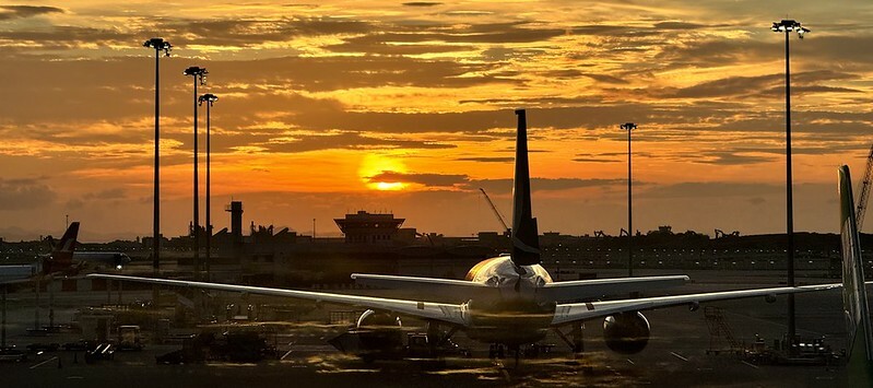 香港可頌蛋塔爆紅！香港灣仔Bakehouse Wanchai，香港人激推蛋塔吃貨必訪。