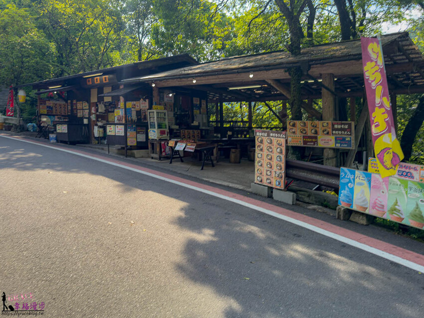 大步危小步危峽谷｜德島縣日本–搭乘麗星郵輪探索星號岸上行程，飽覽峽谷美景走訪刺激的祖谷藤蔓橋 @GRACE幸福漫步