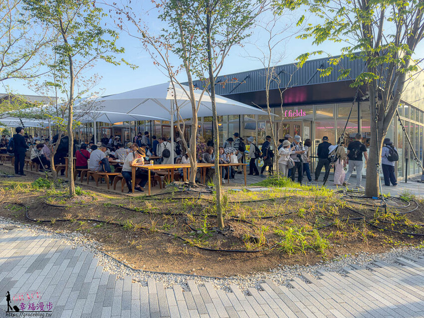 搭乘麗星郵輪探索星號遊玩大阪萬博會，專車接送輕鬆逛展覽