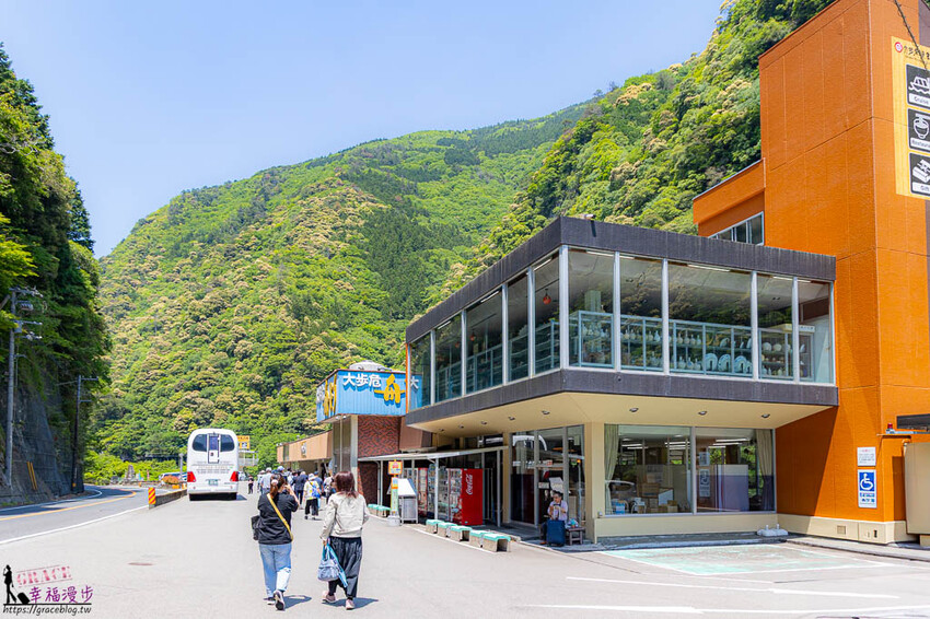 大步危小步危峽谷｜德島縣日本–搭乘麗星郵輪探索星號岸上行程，飽覽峽谷美景走訪刺激的祖谷藤蔓橋 @GRACE幸福漫步