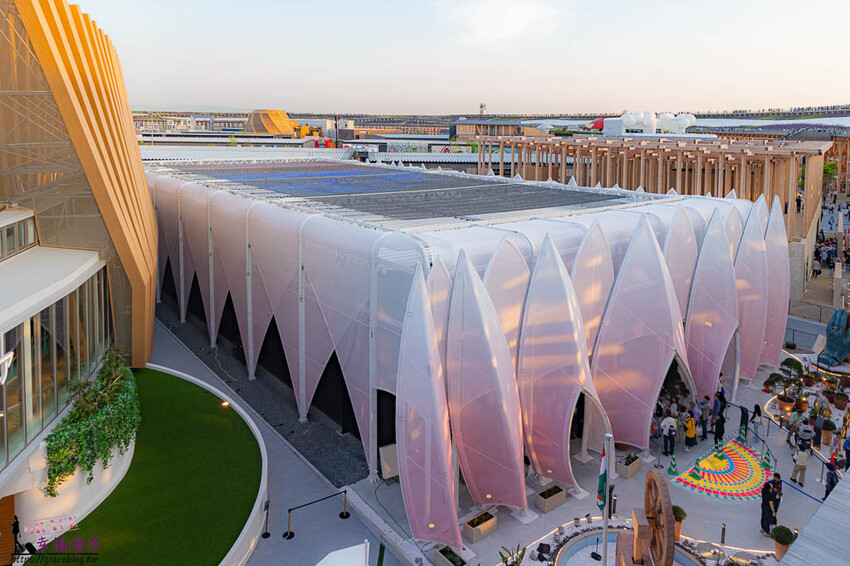 搭乘麗星郵輪探索星號遊玩大阪萬博會，專車接送輕鬆逛展覽