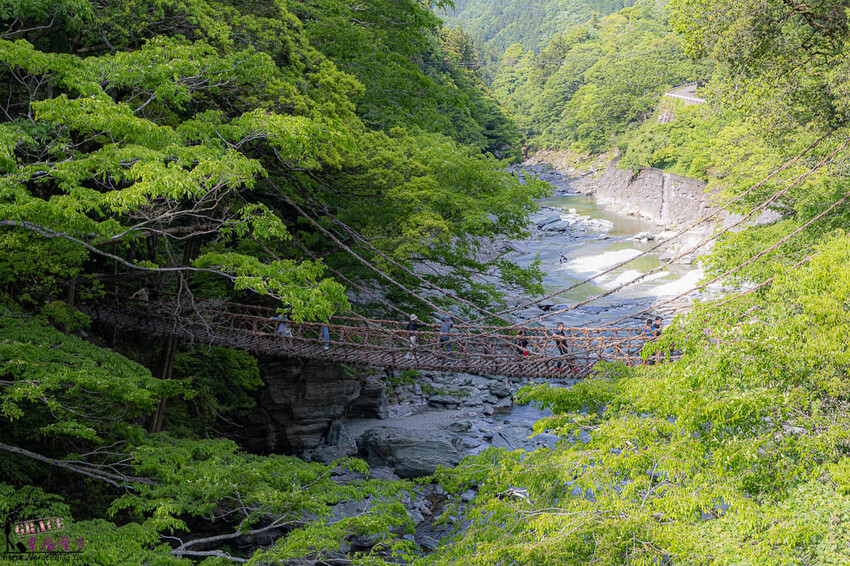大步危小步危峽谷｜德島縣日本–搭乘麗星郵輪探索星號岸上行程，飽覽峽谷美景走訪刺激的祖谷藤蔓橋 @GRACE幸福漫步
