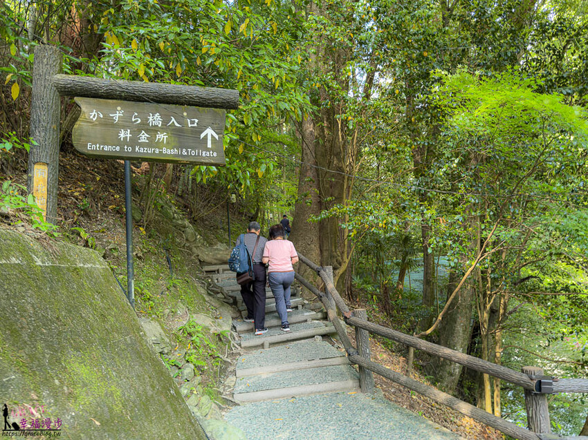 大步危小步危峽谷｜德島縣日本–搭乘麗星郵輪探索星號岸上行程，飽覽峽谷美景走訪刺激的祖谷藤蔓橋 @GRACE幸福漫步