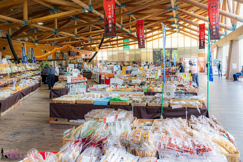 大步危小步危峽谷｜德島縣日本–搭乘麗星郵輪探索星號岸上行程，飽覽峽谷美景走訪刺激的祖谷藤蔓橋 @GRACE幸福漫步