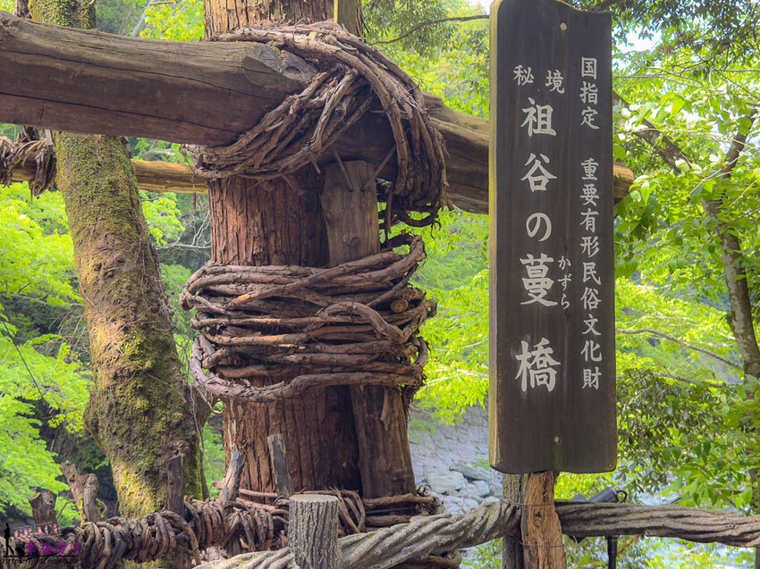 大步危小步危峽谷｜德島縣日本–搭乘麗星郵輪探索星號岸上行程，飽覽峽谷美景走訪刺激的祖谷藤蔓橋 @GRACE幸福漫步