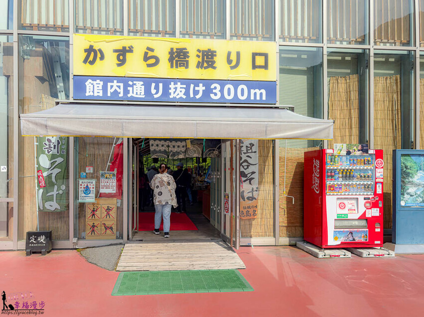 大步危小步危峽谷｜德島縣日本–搭乘麗星郵輪探索星號岸上行程，飽覽峽谷美景走訪刺激的祖谷藤蔓橋 @GRACE幸福漫步