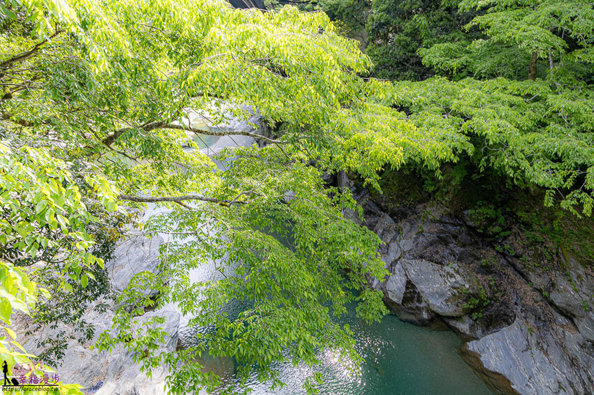 大步危小步危峽谷｜德島縣日本–搭乘麗星郵輪探索星號岸上行程，飽覽峽谷美景走訪刺激的祖谷藤蔓橋 @GRACE幸福漫步