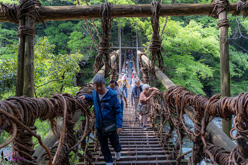 大步危小步危峽谷｜德島縣日本–搭乘麗星郵輪探索星號岸上行程，飽覽峽谷美景走訪刺激的祖谷藤蔓橋 @GRACE幸福漫步