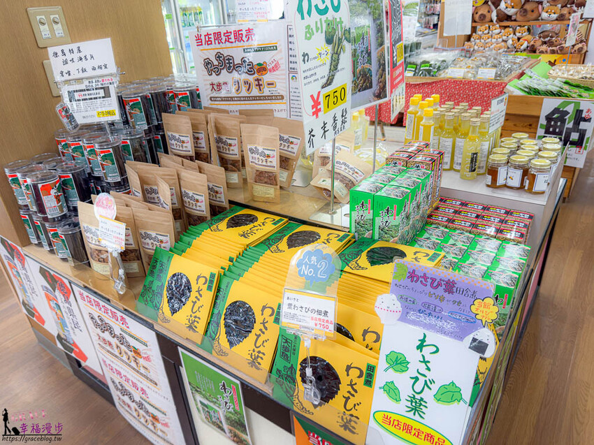 大步危小步危峽谷｜德島縣日本–搭乘麗星郵輪探索星號岸上行程，飽覽峽谷美景走訪刺激的祖谷藤蔓橋 @GRACE幸福漫步