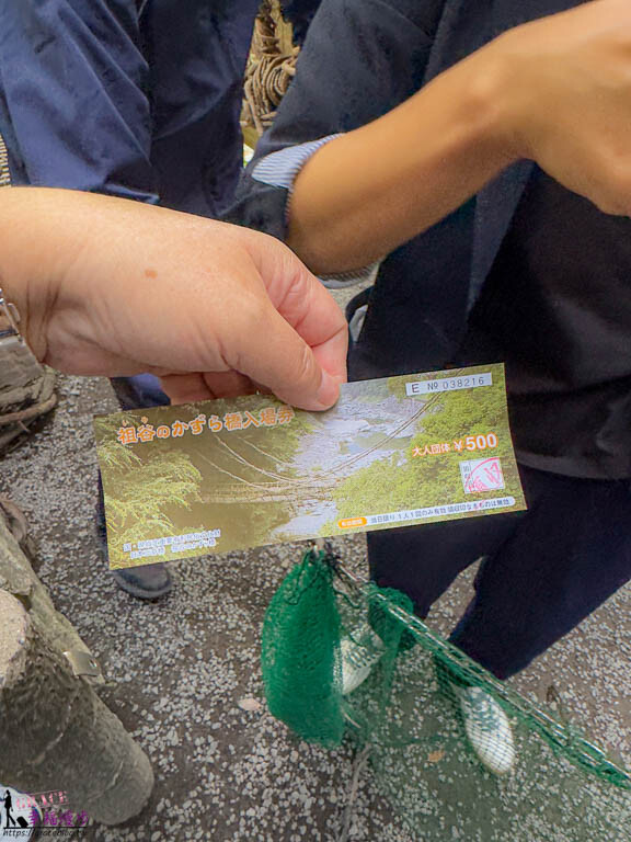 大步危小步危峽谷｜德島縣日本–搭乘麗星郵輪探索星號岸上行程，飽覽峽谷美景走訪刺激的祖谷藤蔓橋 @GRACE幸福漫步