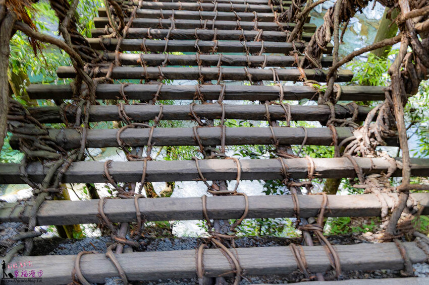 大步危小步危峽谷｜德島縣日本–搭乘麗星郵輪探索星號岸上行程，飽覽峽谷美景走訪刺激的祖谷藤蔓橋 @GRACE幸福漫步
