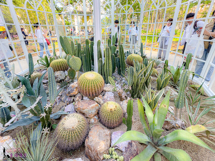 搭乘麗星郵輪探索星號遊玩大阪萬博會，專車接送輕鬆逛展覽