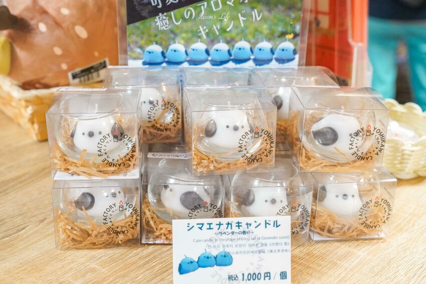 北海道三大夜景！小樽天狗山日劇初戀First Love取景地，絕美展望台纜車攻略。