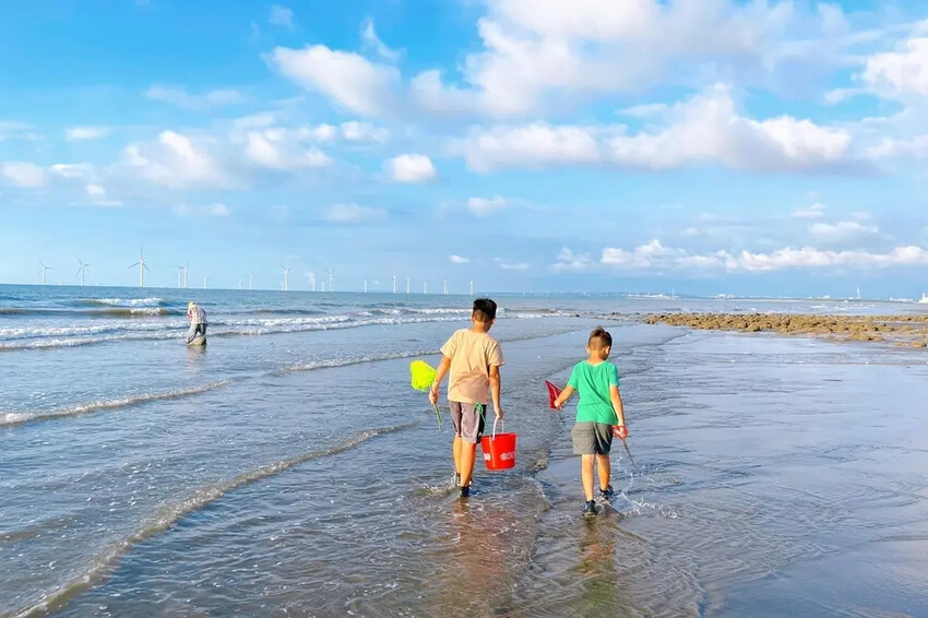 苗栗親子景點推薦｜合歡石滬潮間帶體驗抓螃蟹、撈魚、挖海瓜子，