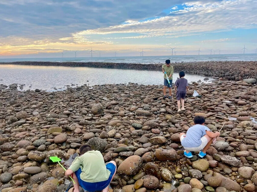 苗栗親子景點推薦｜合歡石滬潮間帶體驗抓螃蟹、撈魚、挖海瓜子，