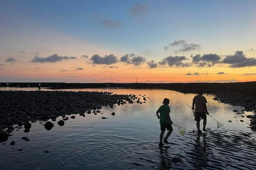 苗栗親子景點推薦｜合歡石滬潮間帶體驗抓螃蟹、撈魚、挖海瓜子，