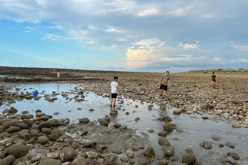 苗栗親子景點推薦｜合歡石滬潮間帶體驗抓螃蟹、撈魚、挖海瓜子，