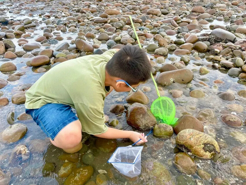 苗栗親子景點推薦｜合歡石滬潮間帶體驗抓螃蟹、撈魚、挖海瓜子，