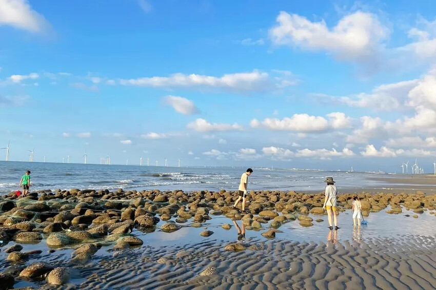 苗栗親子景點推薦｜合歡石滬潮間帶體驗抓螃蟹、撈魚、挖海瓜子，