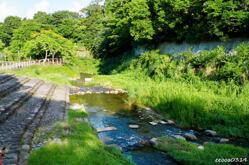 桃園龍潭大平紅橋一日遊｜百年紅磚糯米橋秘境，輕鬆散步賞景、拍