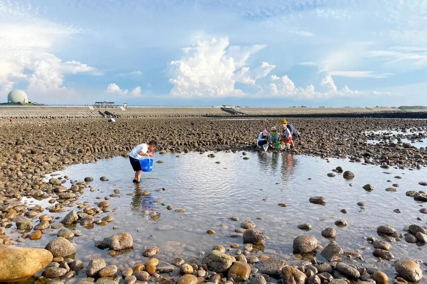 苗栗親子景點推薦｜合歡石滬潮間帶體驗抓螃蟹、撈魚、挖海瓜子，