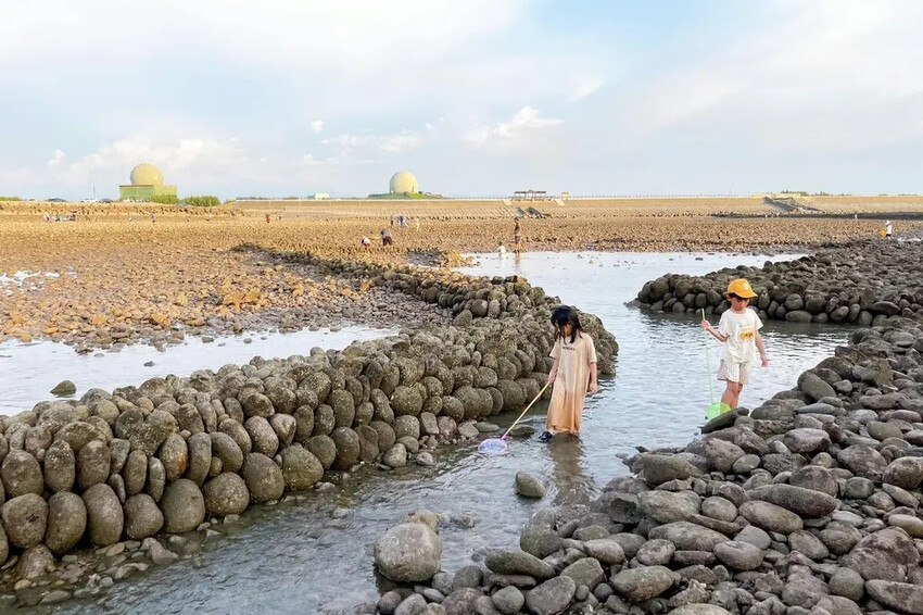 苗栗親子景點推薦｜合歡石滬潮間帶體驗抓螃蟹、撈魚、挖海瓜子，
