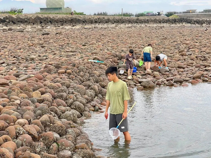 苗栗親子景點推薦｜合歡石滬潮間帶體驗抓螃蟹、撈魚、挖海瓜子，