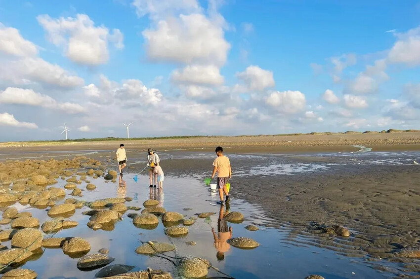 苗栗親子景點推薦｜合歡石滬潮間帶體驗抓螃蟹、撈魚、挖海瓜子，