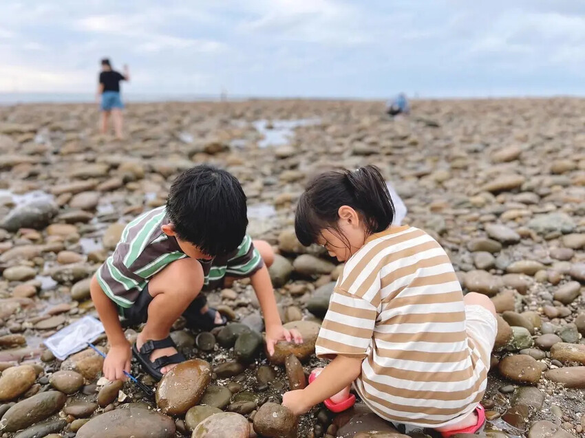 苗栗親子景點推薦｜合歡石滬潮間帶體驗抓螃蟹、撈魚、挖海瓜子，