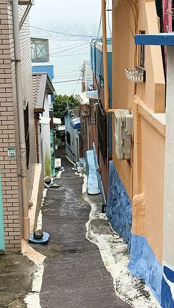 IMG_4795 (1).jpg