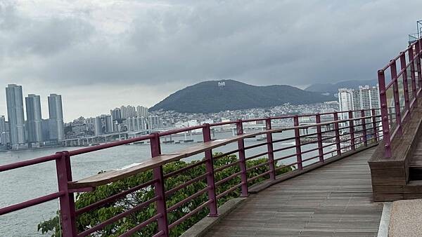 IMG_5104.jpg